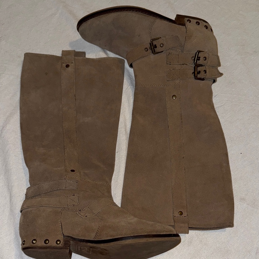 DV by Dolce Vita Bend triple buckle riding boot in taupe suede Sz 8.5
